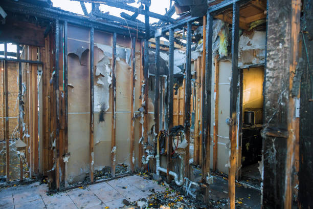 Professional Fire Damage Removal technician working in Hutto, TX